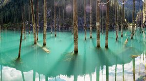 أغرب مناطق الجذب الطبيعية في العالم