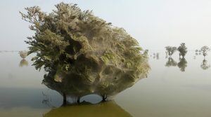 أغرب مناطق الجذب الطبيعية في العالم