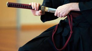 فنون قتالية