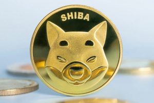 عملة شيبا المشفرة
