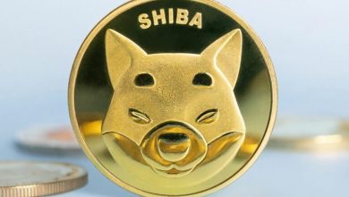 عملة شيبا المشفرة