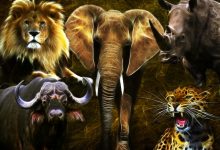 أخطر وأقوى الحيوانات في العالم