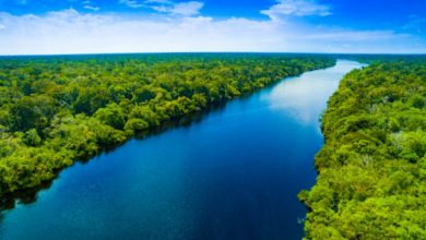 تعرف على أطول الأنهار في العالم