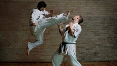 فنون قتالية