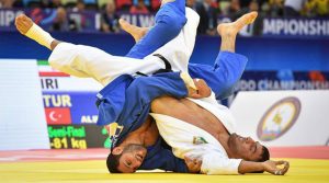 فنون قتالية