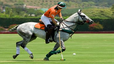 أغلى الرياضات في العالم