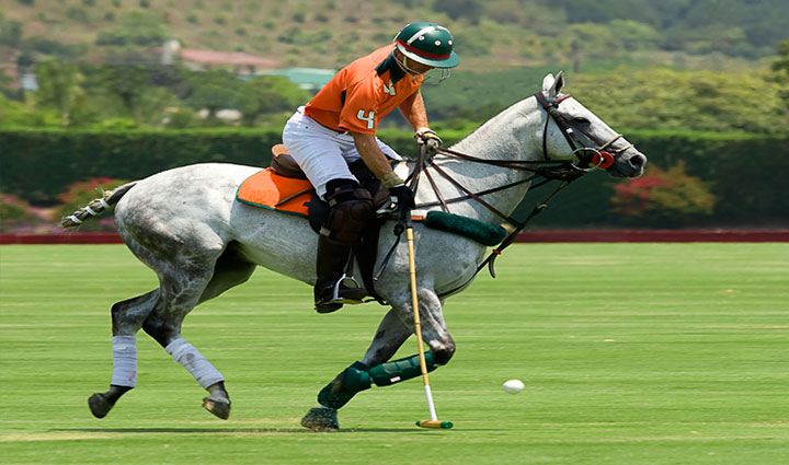 أغلى الرياضات في العالم