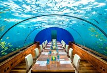 اغرب المطاعم في العالم