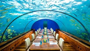 اغرب المطاعم في العالم