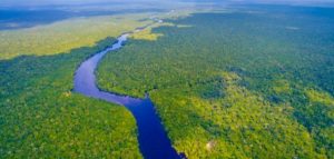 أطول الأنهار في العالم