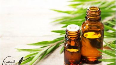 فوائد زيت شجرة الشاي لحب الشباب تعرف عليها
