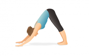 5 حركات يوجا رائعة وبسيطة مناسبة للمبتدئين