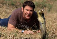 12 طريقة للهروب من 12 حيوان خطير