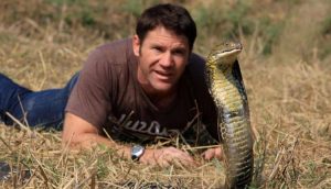 12 طريقة للهروب من 12 حيوان خطير