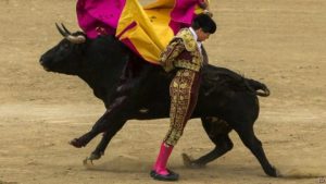 12 طريقة للهروب من 12 حيوان خطير