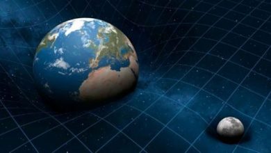 كل ما تريد معرفته عن الجاذبية