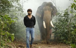 12 طريقة للهروب من 12 حيوان خطير