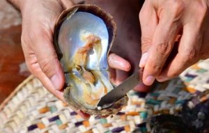 لماذا اللؤلؤة متناظرة ومستديرة؟