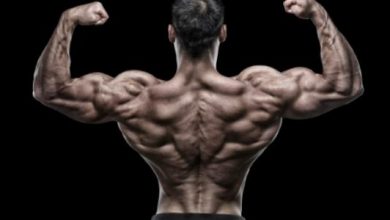 عضلات الظهر