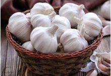 فوائد الثوم لتساقط الشعر