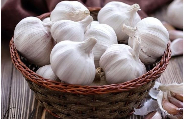 فوائد الثوم لتساقط الشعر