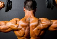 تمارين بيربي