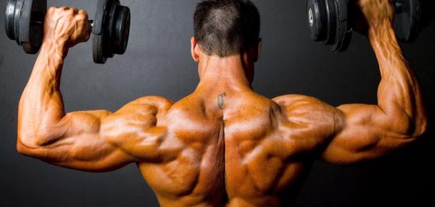 تمارين بيربي