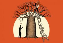 دليل استثماري شامل للمبتدئين