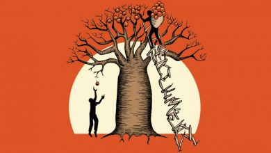 دليل استثماري شامل للمبتدئين