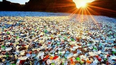 أكثر الشواطئ تميزًا في العالم ، والتي سوف يبهرك جمالها