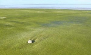 أكثر الشواطئ تميزًا في العالم ، والتي سوف يبهرك جمالها