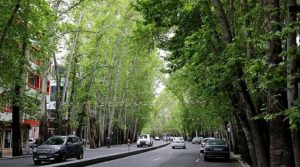 نقدم لكم اطول شارع في العالم و 9 شوارع بعده