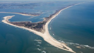 سر مثلث برمودا. هل هذه المنطقة خطيرة حقًا؟